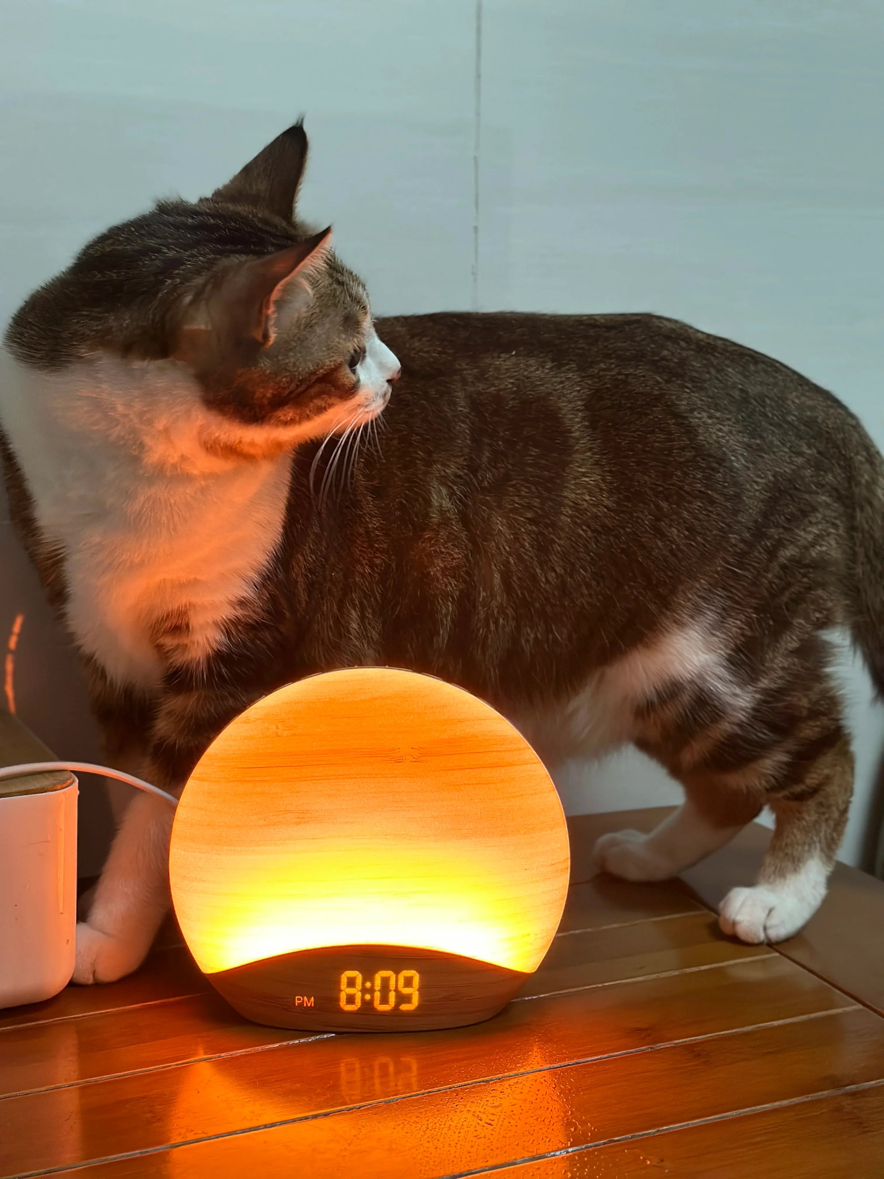 Réveil lumineux et son de la nature